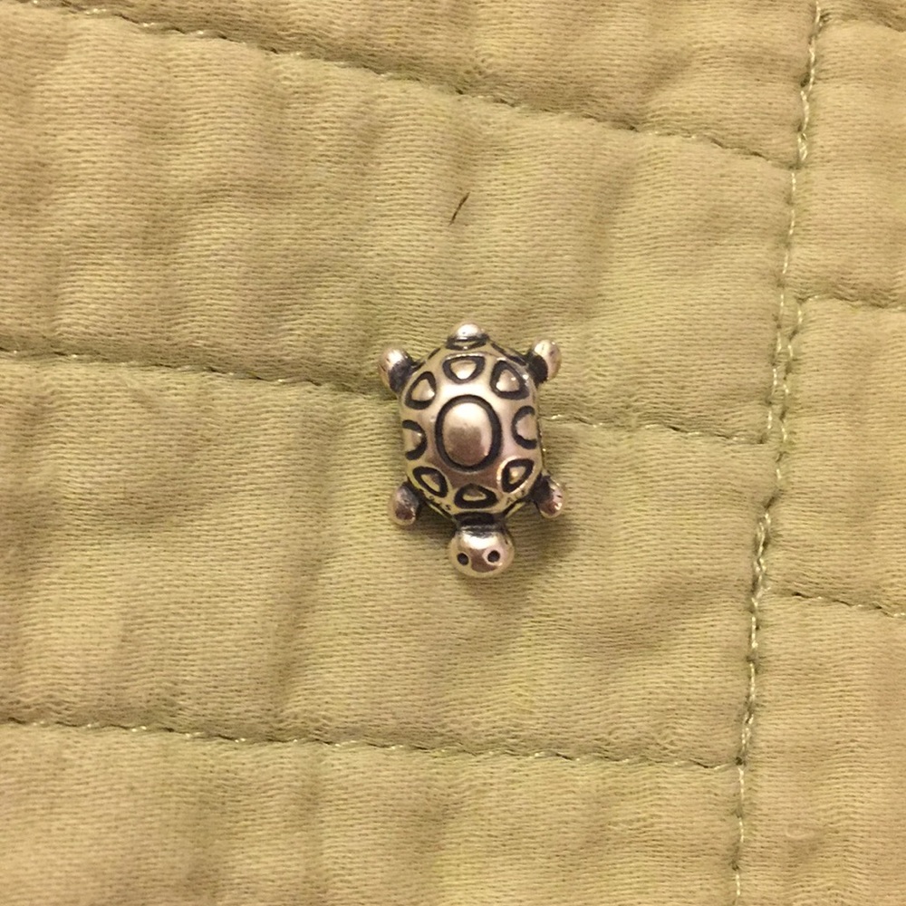 Turtle Pandora Charm